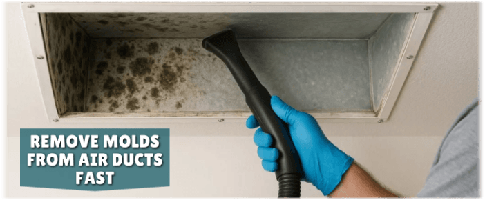 Air Duct Mold Removal in Mclean VA